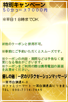 特別キャンペーン:癒しの猫｜一宮のリラクゼーションマッサージ
