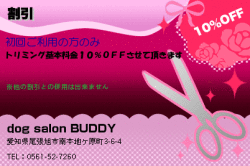 dog salon BUDDYの割引のクーポン